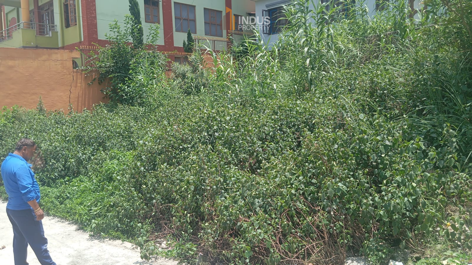 Picture of Madhyapur Thimi Municipality, Bagmati